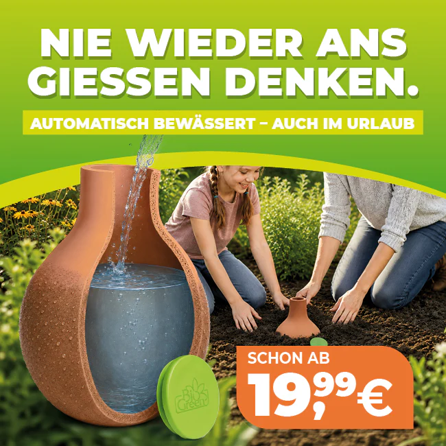 Stilvoll gärtnern in der Stadt